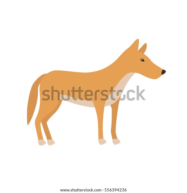 Dingo Cartoon Character Australian Dingo Dog Wektorowa