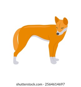 Dingo Dog Australian Symbol Vector Illustration