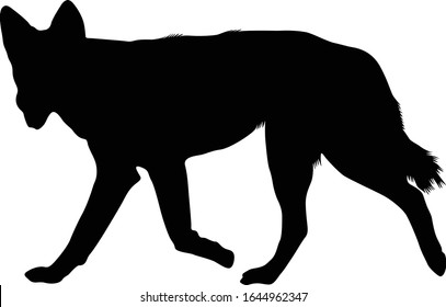 Dingo Dog (Canis Lupus Dingo) Silhouette Vektorillustration in Süd- und Ostasien