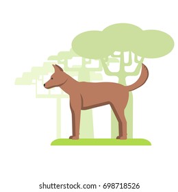 Dingo dog dwells in Australia, silhouette on white background, flat image