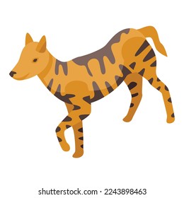 Dingo dog icon isometric vector. Wild animal. Carnivore wolf