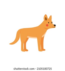 Dingo dog vector illustration standing on white background. Australian animal drawn in cartoon style