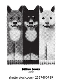 Perros Dingo. Animales australianos. Técnica de puntillismo de tinta gráfica