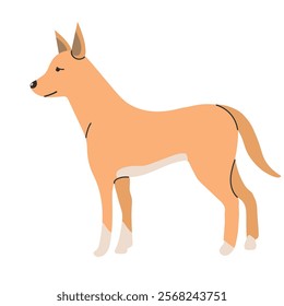 Dingo icon clipart avatar logotype isolated illustration