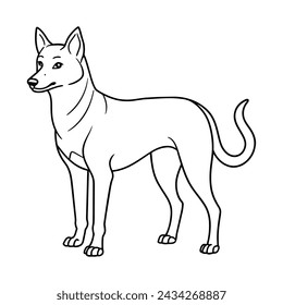 Dingo illustration coloring page for kids