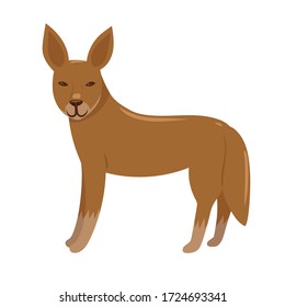 Dingo aislado en un fondo blanco. Gráficos vectoriales.