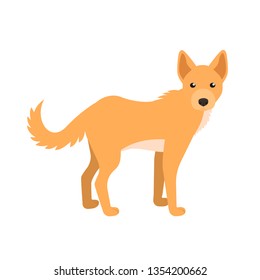Dingo. Isolated vector illustration