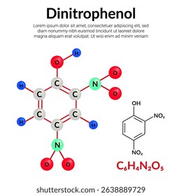 Dinitrophenol organic compound, molecular structure formula, ball-and-stick model, suitable for education or chemistry science content. Vector illustration