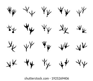 Raptor Footprint Images, Stock Photos & Vectors | Shutterstock