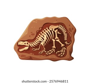 Dino fossil skeleton bones, dinosaur relics in brown rock. Isolated cartoon vector tyrannosaurus rex predator complete skeletal structure, paleontological finds and prehistoric life scientific item