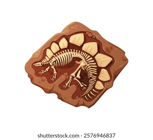 Dino fossil skeleton bones, dinosaur remains in a reddish rock, showcasing the intricate skeletal structure and prominent back plates. Isolated cartoon vector prehistoric and archaeological relic