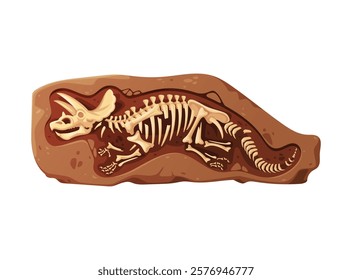 Dino fossil skeleton bones, full skeletal structure of triceratops dinosaur. Isolated cartoon vector reptile relics embedded in brown, rock. Ancient Jurassic era prehistoric lizard imprint in the soil