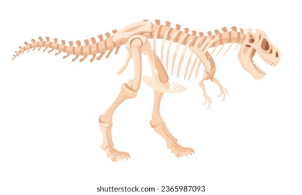 Dino esqueleto. Hueso fósil de dinosaurios arqueológicos de dibujos animados. Dibujo vectorial plano del raptor de tiranosaurio Jurásico. Esqueleto fósil antiguo