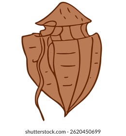 Dinoflagellaten einzeln auf weißem Hintergrund, Mikroorganismen, Mikrobiologie, wissenschaftliche Illustration