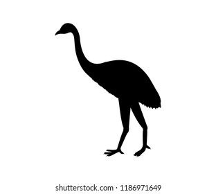 Dinornis Owen silhouette prehistoric bird extinct animal