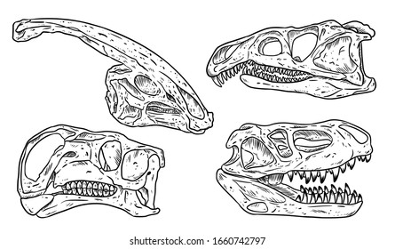 Dinosars Skulls Linie handgezeichnet Skizze Set. Karneval und pflanzenfressende Fossilien Kollektion von Bildern. Vektorillustration