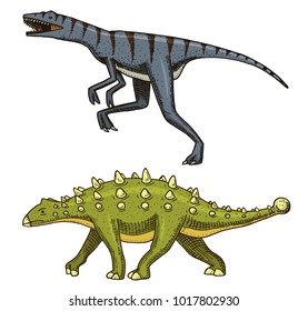 Dinosaur Ankylosaurus, Talarurus, Velociraptor, Euoplocephalus, Saltasaurus, skeletons, fossils. Prehistoric reptiles, Animal engraved Hand drawn vector.