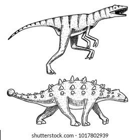 Dinosaur Ankylosaurus, Talarurus, Velociraptor, Euoplocephalus, Saltasaurus, skeletons, fossils. Prehistoric reptiles, Animal engraved Hand drawn vector.