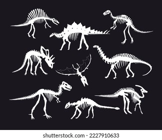 Montaje de ilustraciones vectoriales de huesos de dinosaurio.