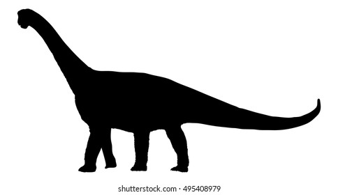 Dinosaur brachiosaurus; brontosaurus; diplodocus vector silhouette illustration isolated on white background.