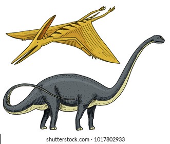 Dinosaur Brachiosaurus or sauropod, Plateosaurus, Diplodocus, Apatosaurus, Pterosaur, skeletons, fossils, winged lizard. American Prehistoric reptiles, Jurassic Animal engraved Hand drawn vector.