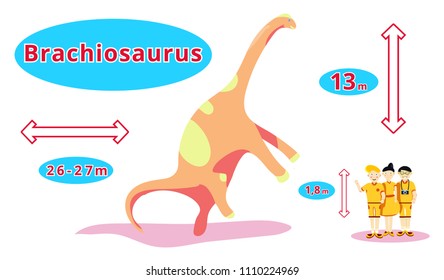 Dinosaur brachiosaurus.Flat cartoon illustration.Infographic of brachiosaurus- Herbivore dinosaur. brachiosaurus. Happy family in compared with dinosaur: height, length. Dinosaur size in compared.