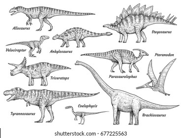 Stegosaurus Drawing Images, Stock Photos u0026 Vectors  Shutterstock