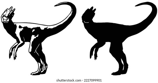 Dinosaur cross view Vector illustration. Tyrannosaurus silhouette
