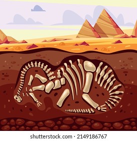 Dinosaur diplodocus skeleton remains archeology excavation concept. Vector flat graphic design illustration