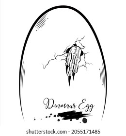 Dinosaur Egg, realistic sketch dinosaur, vector illustration