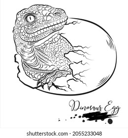 Dinosaur Egg, realistic sketch dinosaur, vector illustration