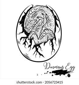 Dinosaur Egg, realistic sketch dinosaur, vector illustration