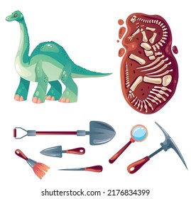 Dinosaur excavation archaeology paleontology tools isolated set. Vector flat graphic design element illustration