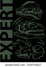 Dinosaur expert. t shirt design . .Kids dino slogan, for clothes, banner, girls, boys, women, child. 