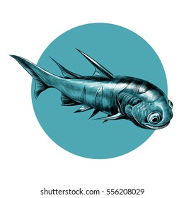 dinosaur fish acanthodian black and white sketch on blue circle vector