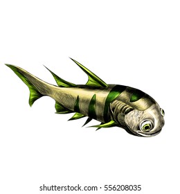 dinosaur fish acanthodian yellow-green color on a white background vector