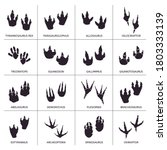 Dinosaur footprint. Reptile foot anatomy, ancient predator animals footprint tracks, paleontology dino traces vector illustration icons set. Reptile foot monster, print dinosaur shape paw