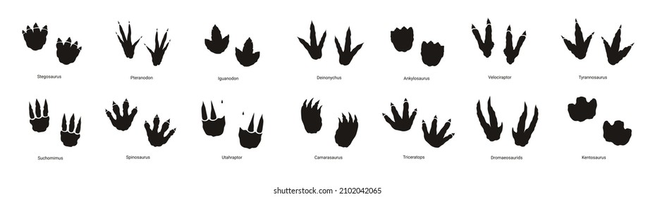 Dinosaur footprint set in black color.
Stegosaurus, tyrannosaurus rex, iguanodon, utahraptor, pteranodon