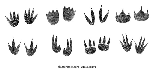 Dinosaur footprint set in hand drawn sketch style