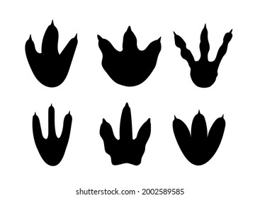 Dinosaur footprint track paw Allosaurus background set. Dinosaur cartoon dino foot