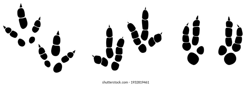 Dinosaur footprint tracks vector set illustration. Background with paw, claw predator. Dinosaur footprint illustration perfect for textile, wrap and wallpaper and design