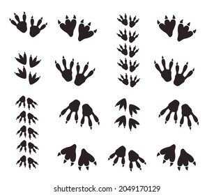 Dinosaur footprint tracks vector set illustration. Dinosaur footprint vector