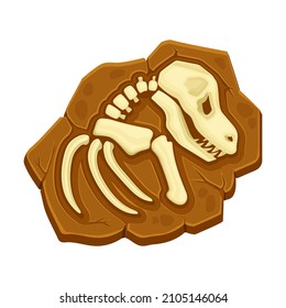 Dinosaur fossil bones. Ancient remains of dinosaur skeleton vector illustration