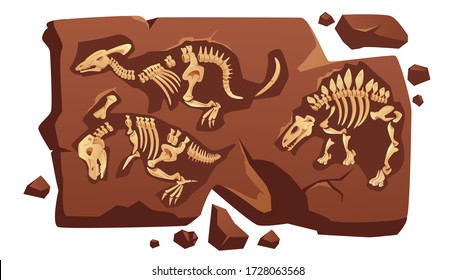 Dinosaur fossil bones, dino skeletons in piece of stone isolated on white background. Old dead prehistoric animals of jurassic ages. Paleontology, archaeology science items Cartoon vector illustration