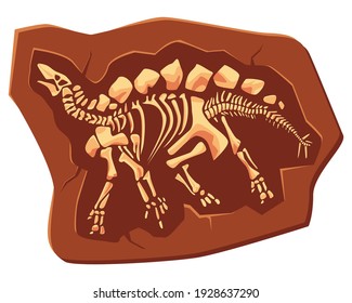Dinosaur fossil bones, dino skeletons in piece of stone isolated on white background. Jurassic ages. Paleontology, archaeology science items. Vector