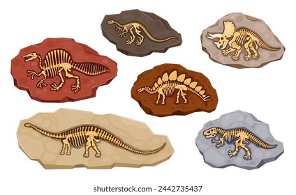 Dinosaur fossil bones in stones or dino skeleton imprints, cartoon vector. Archeology fossil stones with prints of Jurassic dinosaur bones and dino reptiles of T-rex tyrannosaurus and brachiosaurus