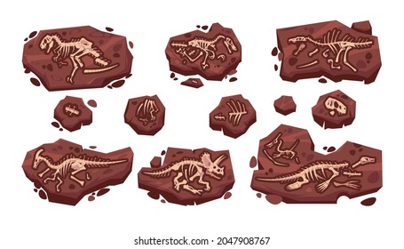 Dinosaur fossil. Cartoon paleontology excavation with prehistoric Jurassic dino skeletons set. Isolated predator lizard bones in ground. Vector archeology collection of extinct reptiles