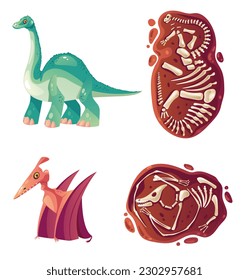 Dinosaur fossil jurassic skeleton bone archaeology concept. Vector graphic design element illustration