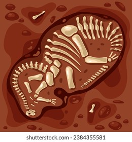 Dinosaur fossil paleontology skeleton archeology jurassic ancient concept. Vector flat graphic design illustration
