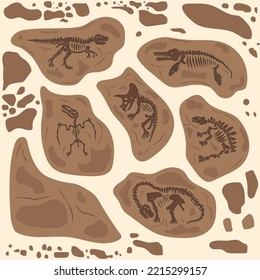 Dinosaur fossil skeleton, buried snail shells, paleontologists find. Vector illustration of rock section with prehistoric reptile bones and ammonite background.
